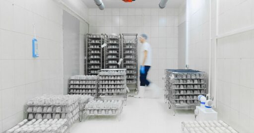 Personal manipulando carros de huevos en almacén sanitizado