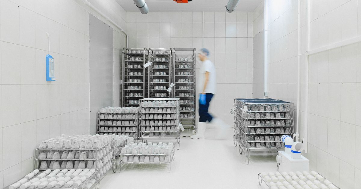 Personal manipulando carros de huevos en almacén sanitizado