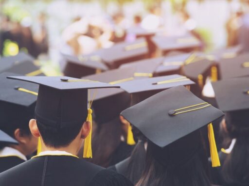 Graduados en ceremonia universitaria, vista trasera