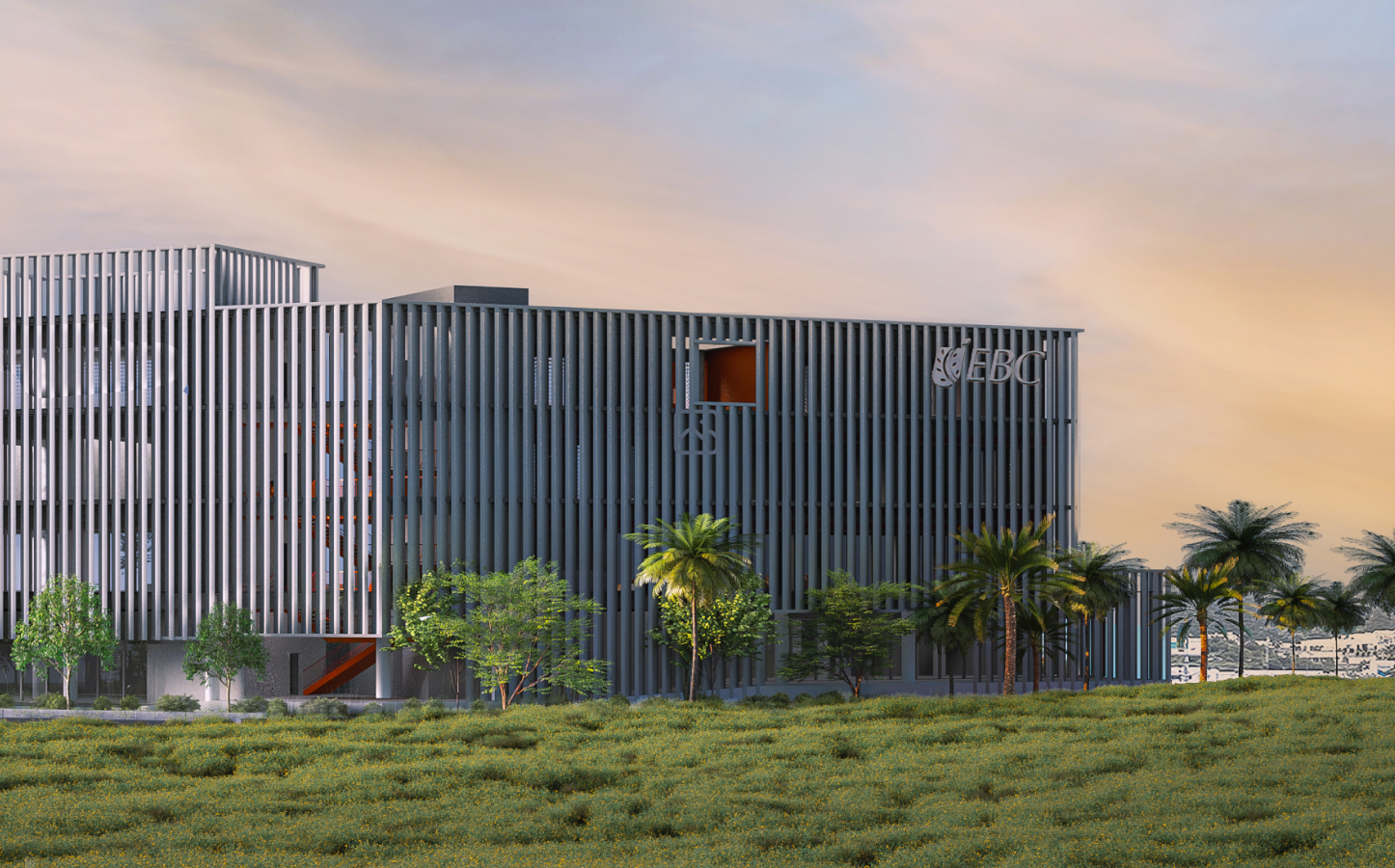 Edificio moderno rodeado de palmeras al atardecer.
